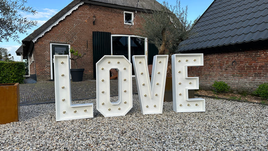 Lichtletters 'LOVE'