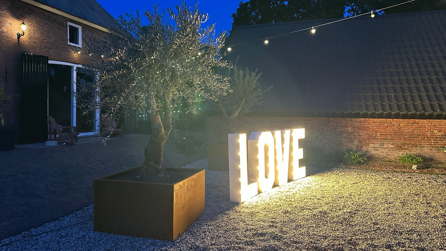Lichtletters 'LOVE'
