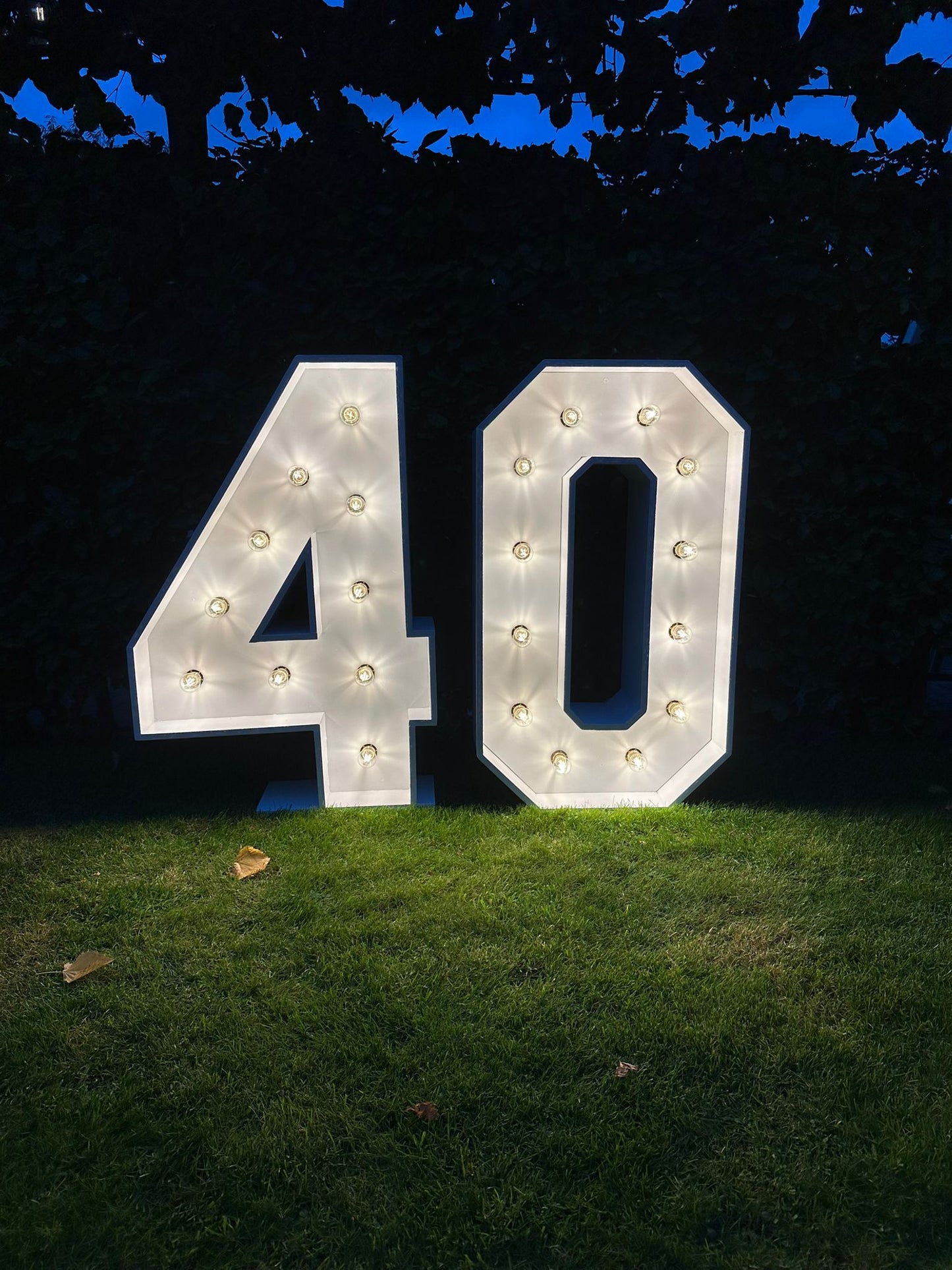 Lichtcijfers '0123456789'