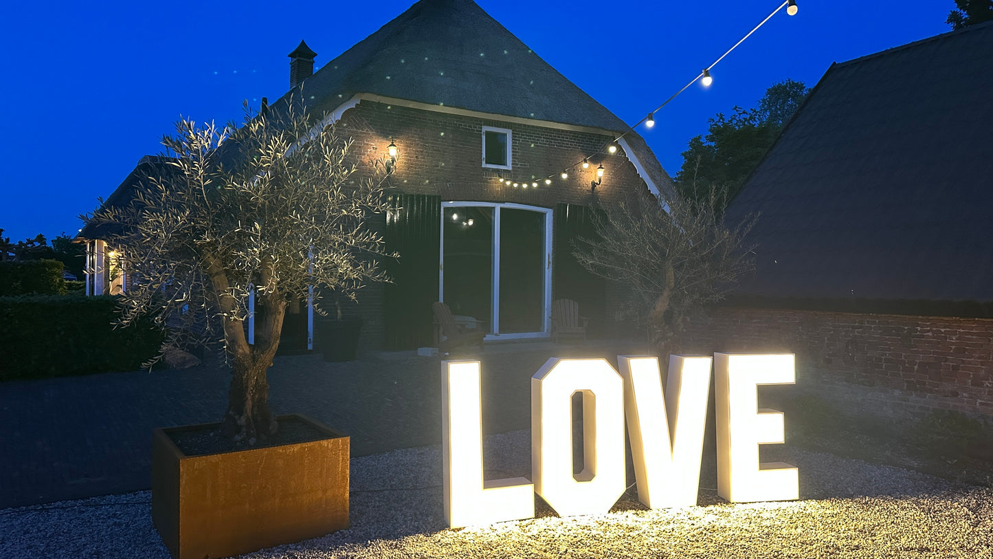 Lichtletters 'LOVE'