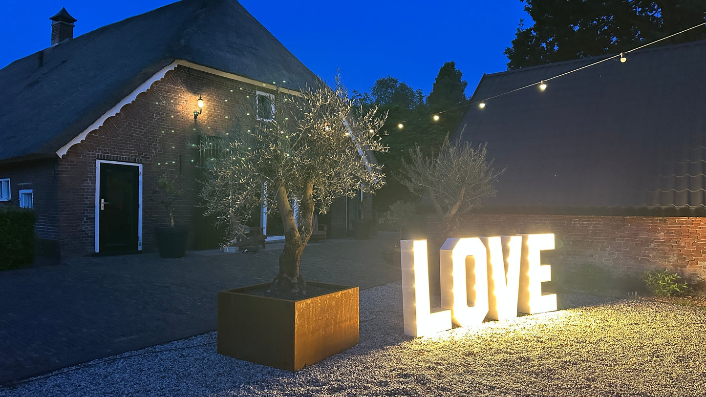 Lichtletters 'LOVE'